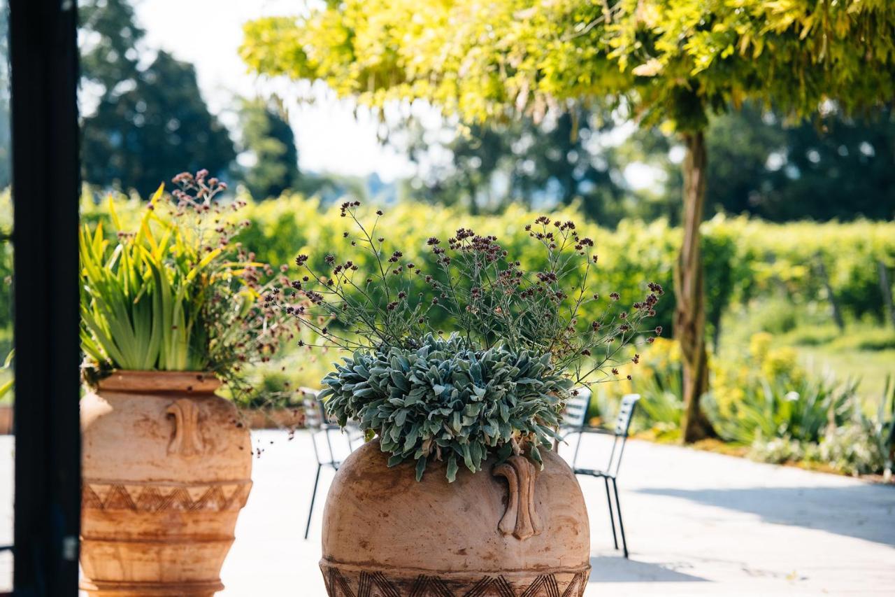 Dimora Buglioni Wine Relais Vila San Pietro in Cariano Exterior foto