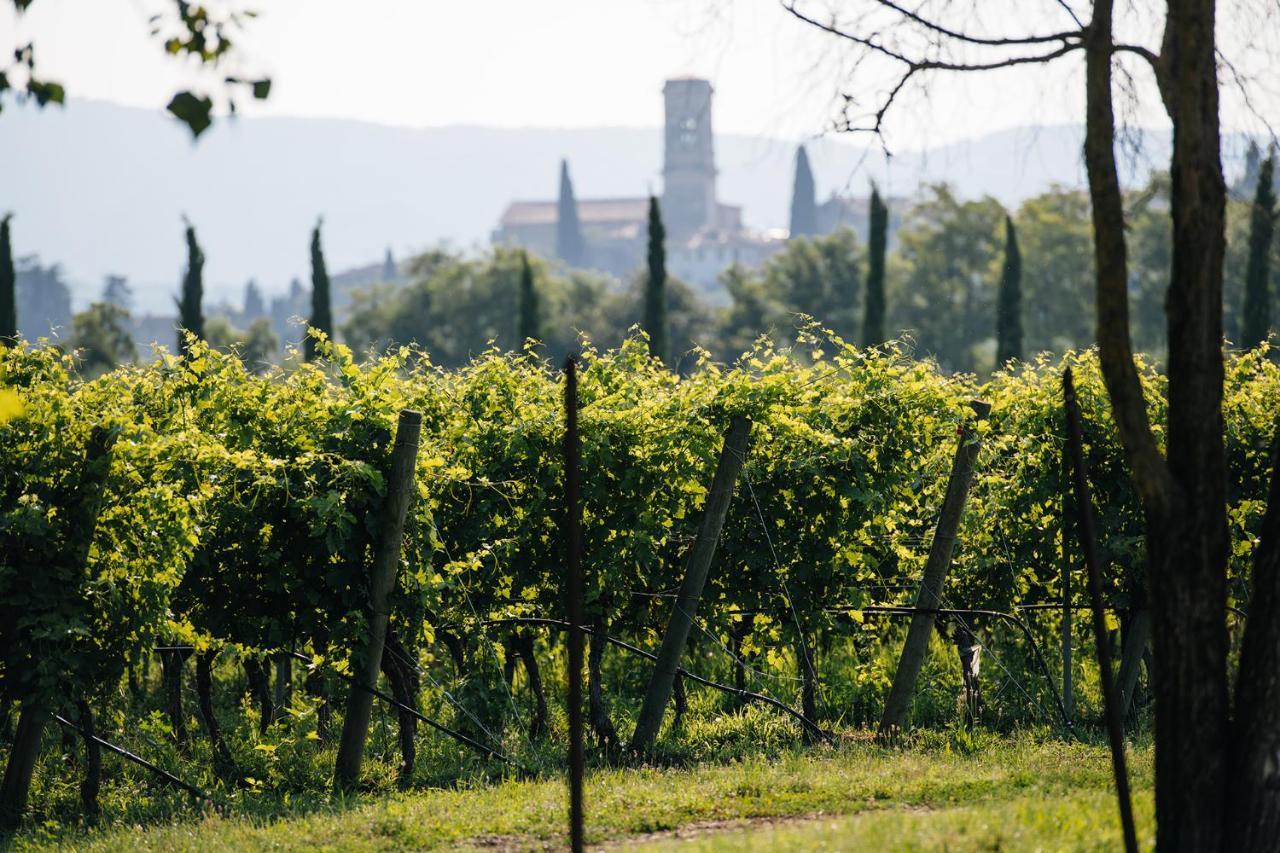 Dimora Buglioni Wine Relais Vila San Pietro in Cariano Exterior foto