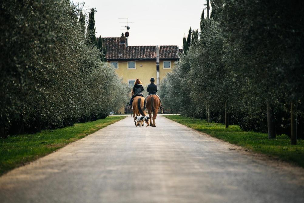 Dimora Buglioni Wine Relais Vila San Pietro in Cariano Exterior foto