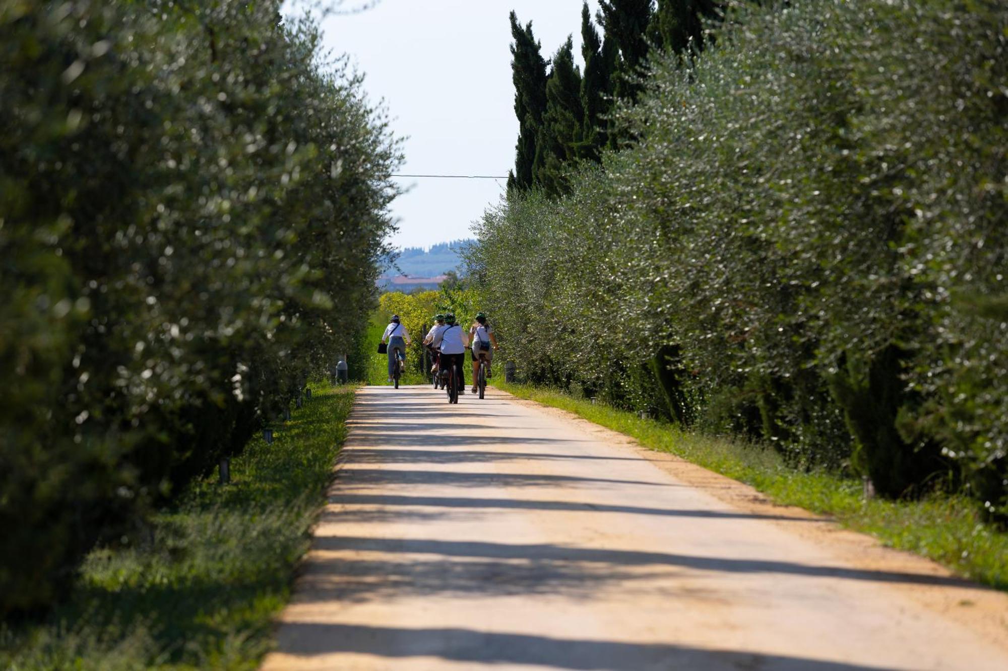 Dimora Buglioni Wine Relais Vila San Pietro in Cariano Exterior foto