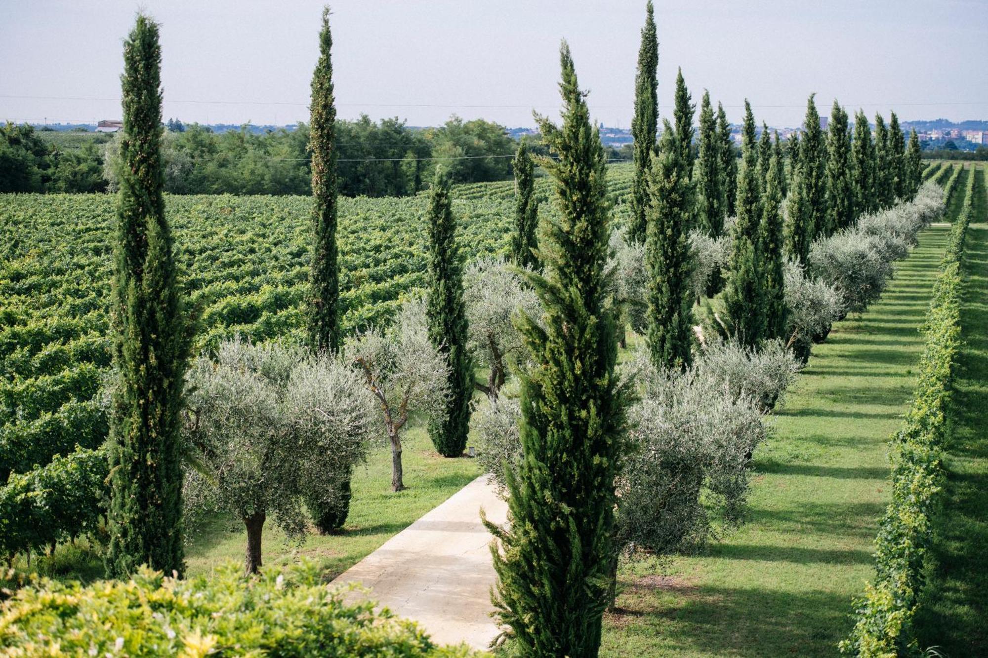 Dimora Buglioni Wine Relais Vila San Pietro in Cariano Exterior foto