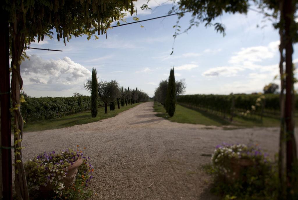 Dimora Buglioni Wine Relais Vila San Pietro in Cariano Exterior foto